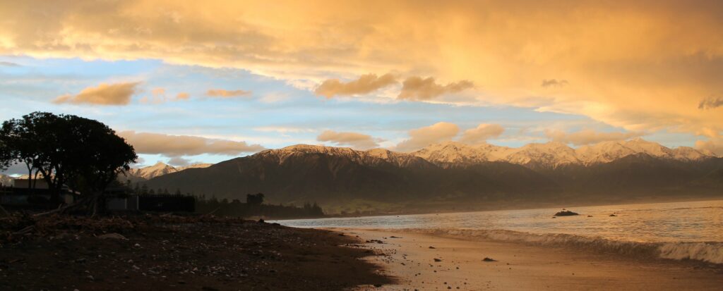 8cgqvmkq7cwywtr9p7vz